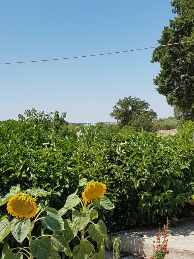 Trulli Della Masseria Staffone Alberobello Exterior foto